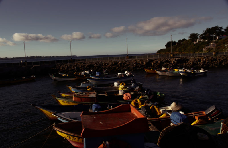 pablo_linietsky_buzosmariscaleros01