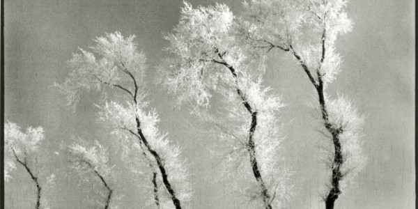 tumblr_lu17zgFA3n1qakafjo1_1280